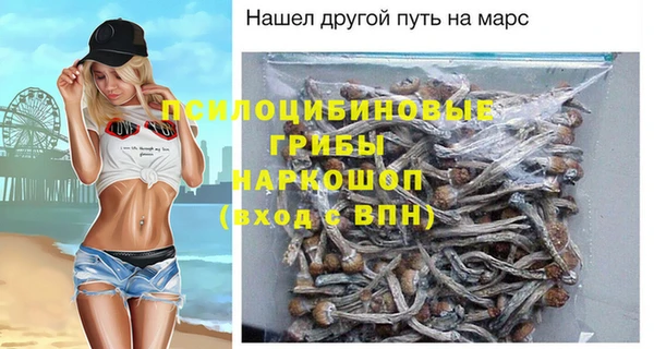 Альфа ПВП Алзамай