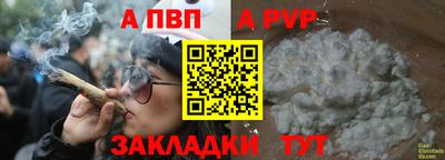 крисы Моздок