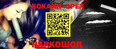 крисы Моздок