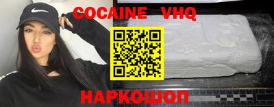 крисы Моздок
