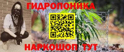 jwh Можга