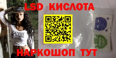 крисы Моздок