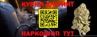 крисы Моздок