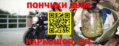 крисы Моздок