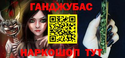 крисы Моздок