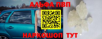 крисы Моздок