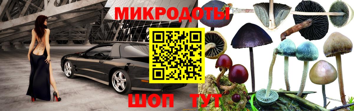 Псилоцибиновые грибы мицелий  Вход с VPN  Светлоград 